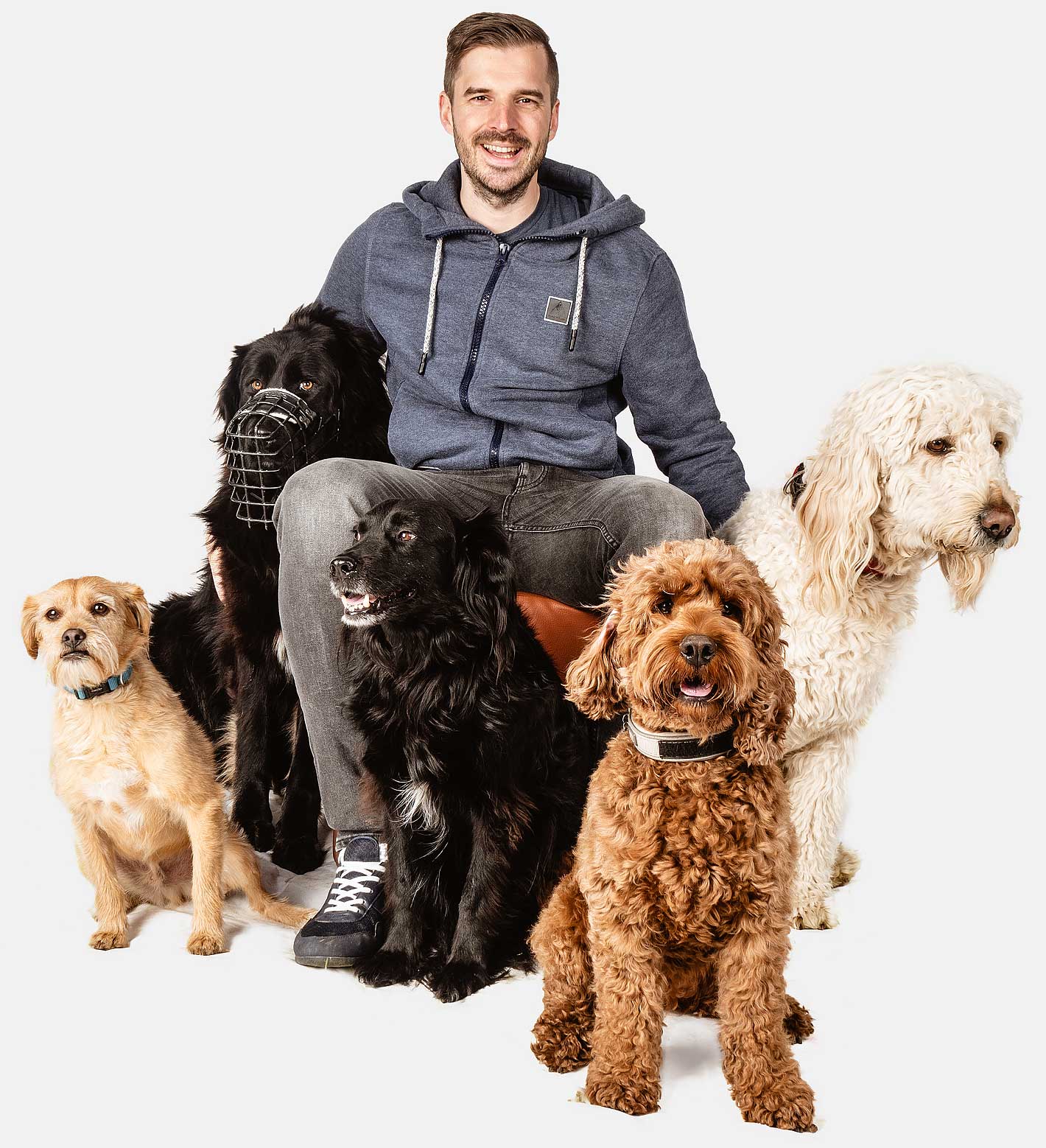 Pressefoto mit Hunden